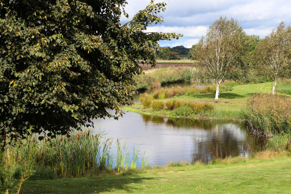 Grounds and Lakes at The Old Hall Ely