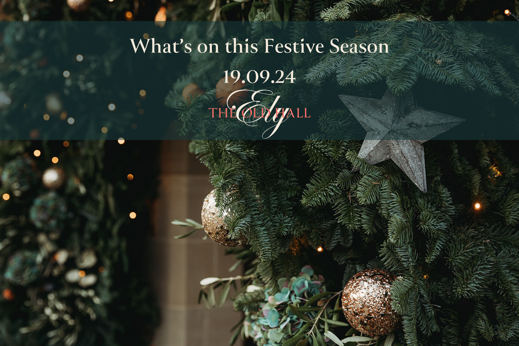 What's on this Festive Season