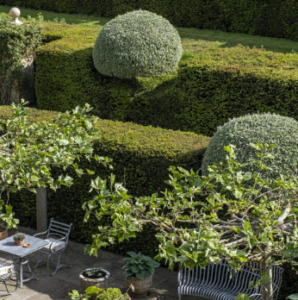 the old hall ely gardeb